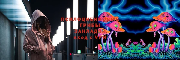 гашик Армянск