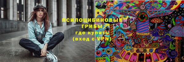 герыч Алексин