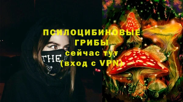 гашик Армянск